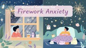 calm strategies for firework anxiety