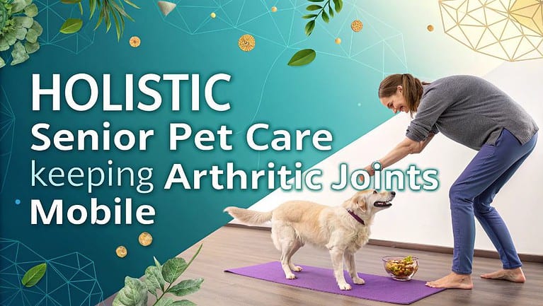 arthritis management for seniors